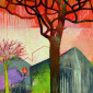 Tree and Red Sky