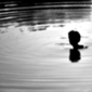 desolation Mr.Foe