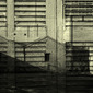 solea