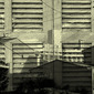 solea