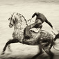 Los Toreros 2