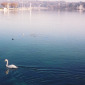 Lake Geneva