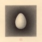 ILLUMINATED EGG