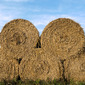 Big Bales