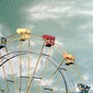 Wheel of Santa Cruz