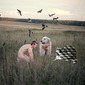 6. The Hunt. Human - friend or foe?