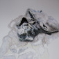 corpse1