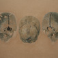 triple skull
