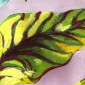 big green leaf