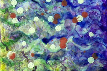 Collection translucence ; created by Molly Shea