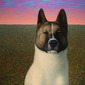 Nikita (The Most Beautiful Dog in the World)