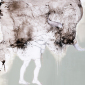 Girl carrying an ox