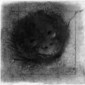 G A Scattergood-moore