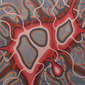 "Virus Liberandi"