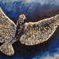 matchbird