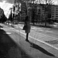 City Shadow