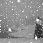 Snowtopia