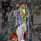 PICASSO .20
