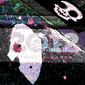 Paint Splatters