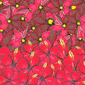 Flower Power | Collage