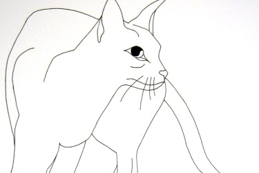 Collection Cats; created by Zizi Lagadec