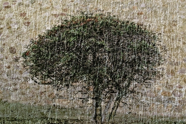 Collection Art I like; created by Gordana Batic