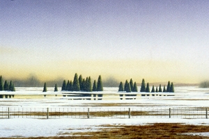 Conrad Mieschke