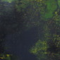 Cosmos