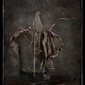dead tulips