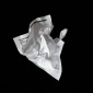 Carta del Paro/Unemployment's Letter