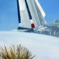 Airplane in the Desert