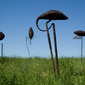 Metal Art Sculptures Vanorbeek