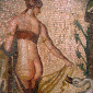Lida and the Swan Mosaic